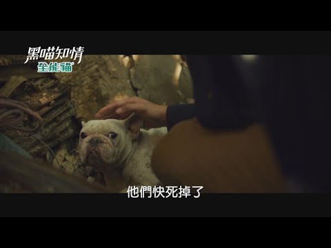 《黑喵知情預告》EP5 無良非法繁殖場 誰能保護他們？