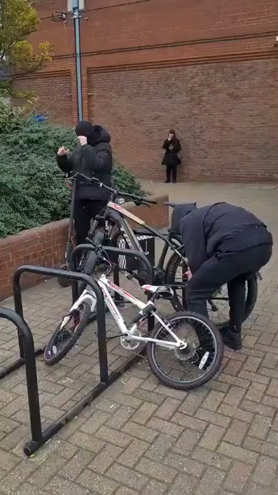 Thief cuts lock on Trek Powerfly 4 electric bike with angle grinder