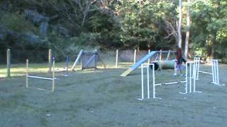 Smitty Dogwalk Turns 20091009