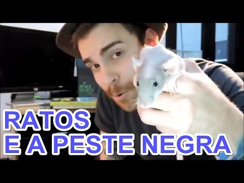 Biologist Talk: Rats and the Black Death