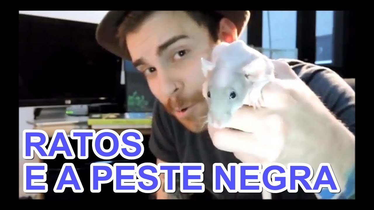 Por que Nova York é infestada por ratos? - Mega Curioso