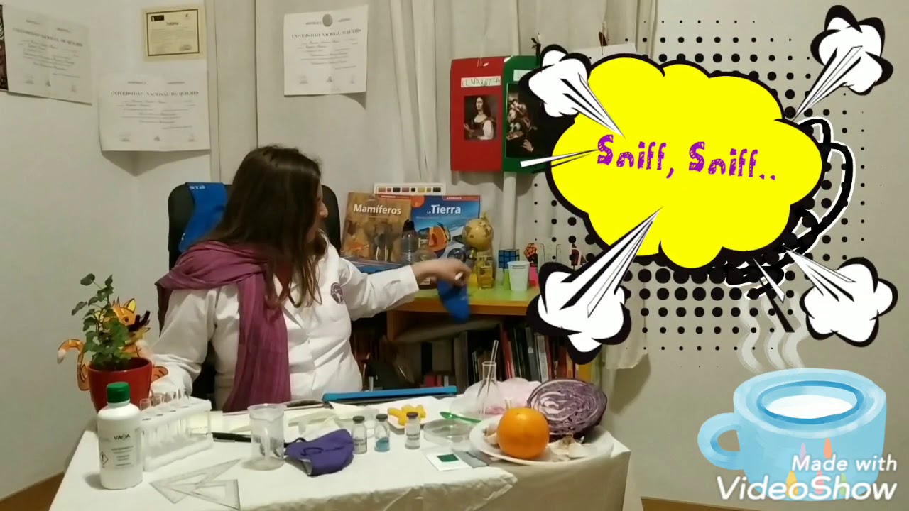 Ada magnífica científica