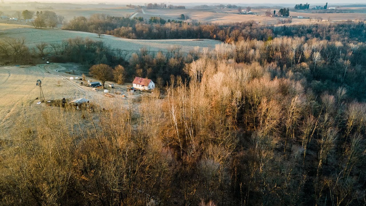 OffGrid Cabin On 40 Acres For Sale (Crawford Co, WI) YouTube