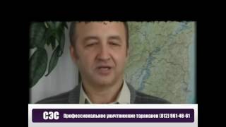 Борьба с тараканами(, 2016-08-07T10:36:49.000Z)