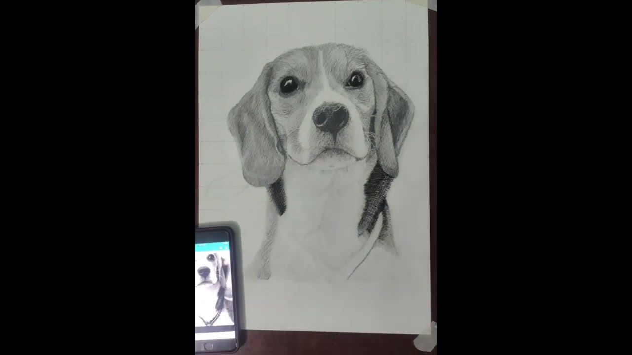 How to draw a hyper realistic dog.?! 😍