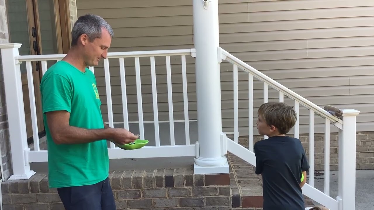 The Green Tripe Trick- Raw Dog Food