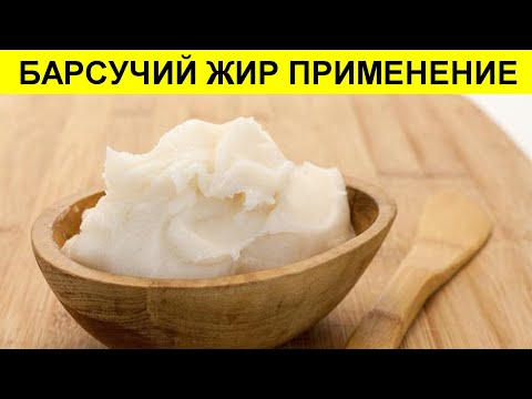 БАРСУЧИЙ ЖИР ПРИМЕНЕНИЕ, ЧЕМ ПОЛЕЗЕН И ЧТО ЛЕЧИТ БАРСУЧИЙ ЖИР