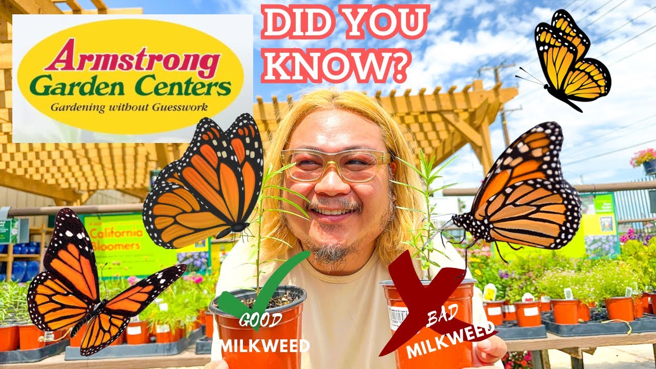 8 of the Coolest Plants at Armstrong Garden Center YouTube