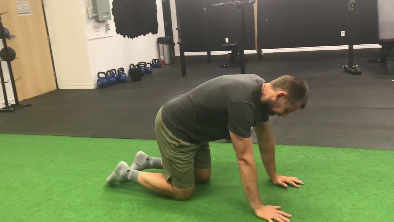 Rotary Stability Circuit YouTube