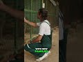Rescue Animal Language Used For Child Sparks Outrage #shorts