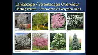 Mount Auburn Street Final Design - Video 3 - Landscape/Streetscape Overview - June 2023