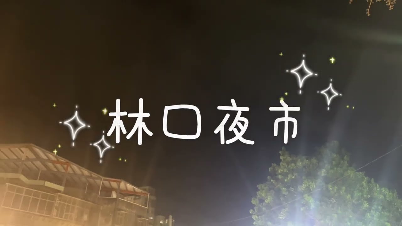 114 龍華科大四技觀光三A （林口夜市） 十三組