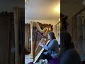 How does this harp sound? Camac Odyssey #harpmusic #harps #leverharp