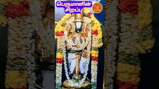 "பெருமாளின் மூடப்பட்ட கண்களின் ரகசியம் / Secret in Perumal's Closed Eyes"