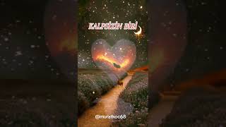 Kalpsi̇zi̇n Bi̇ri̇