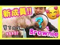 【突發】MUFFIN有「妹妹」了！？從繁殖場救出來的狗狗Brownie！ (中字)