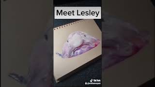 Drawing Lesley the Blobfish #shorts @EveHarveyArt