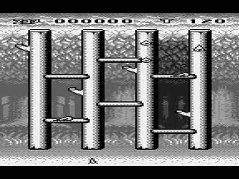 Du0027s Garage 21 Koubo Game   Tane o Maku Tori Japan BANDAI WONDERSWAN HYPERSPIN NOT MINE VIDEOS