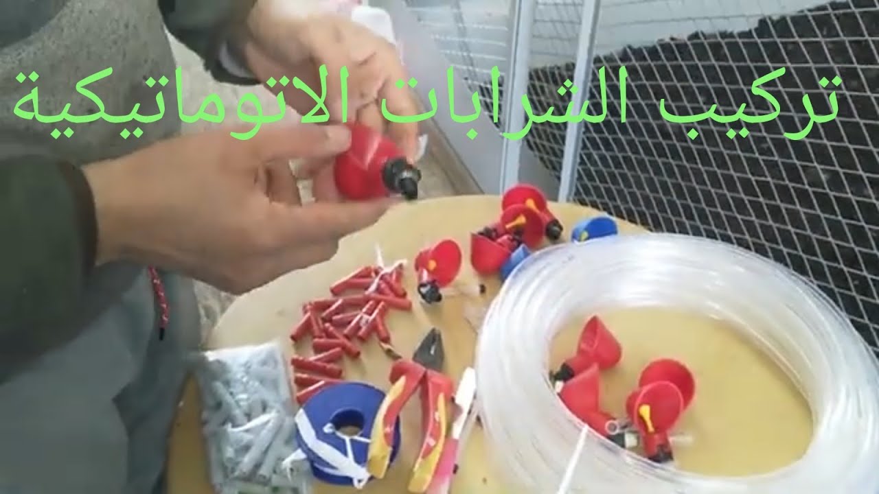 الشرح المبسط لتركيب شربات أتومتيك للدجاج
