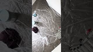 PAINT BRUSH HIGH WALL #viral #brush #high #wall #to #ceiling #youtubeshorts