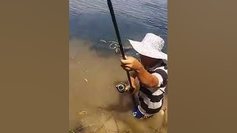 Câu cá Gãy cần tại tràm chim