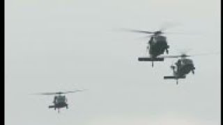 Parade for 70th anniversary of defeat of Japan