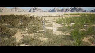 Interactive desert plants with foliage tool (3DVEZ R23)