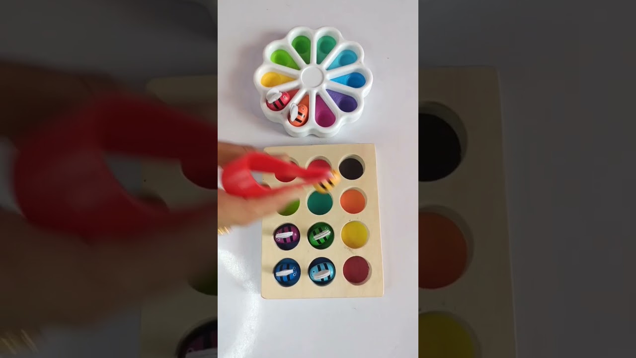 Satisfying Colorful bees Sorting ASMR 