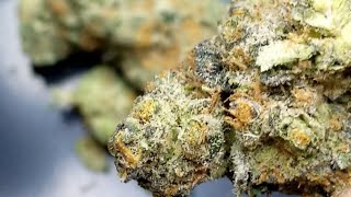 ☠🍪☠SinMint Cookies!!☠🍪☠ #trulieve #asmr #exotic #zaza #strainreview #flower #weed #florida #cannabis