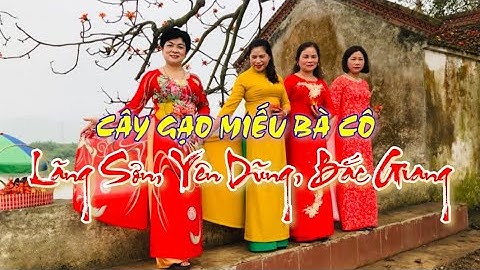 CÂY GẠO MIẾU BÀ CÔ | Đẹp Độc Đáo Có Một Không Hai | Như Đạt YouTube