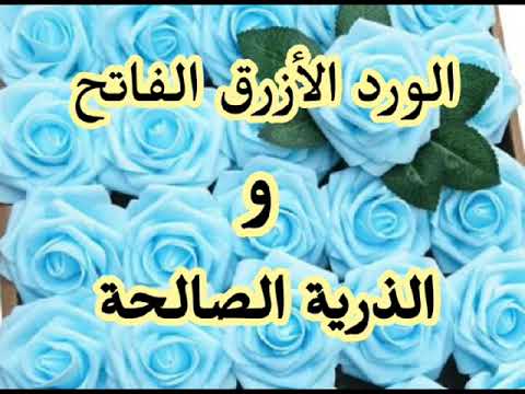 رؤية الورد الأزرق الفاتح و الذرية الصالحة