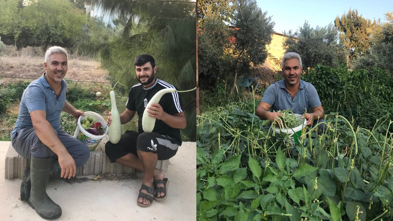 Köy Bahçemizde Mehmet Kızılcayla Sohbet Akşam Yemeği VİLLAGREİA VLOG