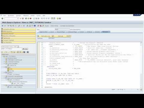 Build a Simple Web Dynpro ABAP Application, Web Dynpro Dynamic Programming (PART 13)