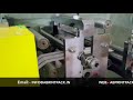Hot Stamping Machine - Strip Transfer |AB-HSM-ST320|