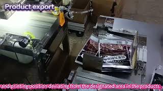 Food Packaging Coding Inspection System