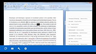 Using Grammarly in MS Word (Office)