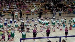 SpringFest 2010 Drill Downs