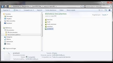 Video de uso de SVN