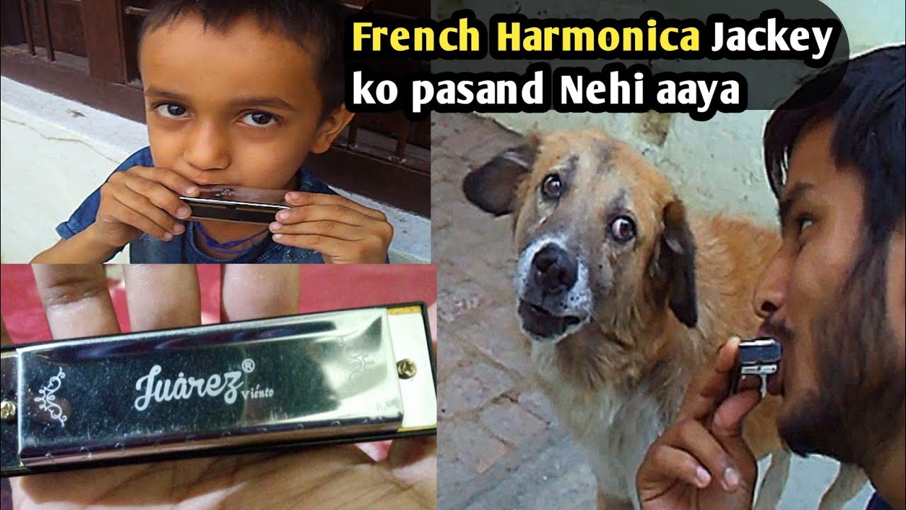 Harmonica free French music Jackey ko music pasand Nehi aaya YouTube