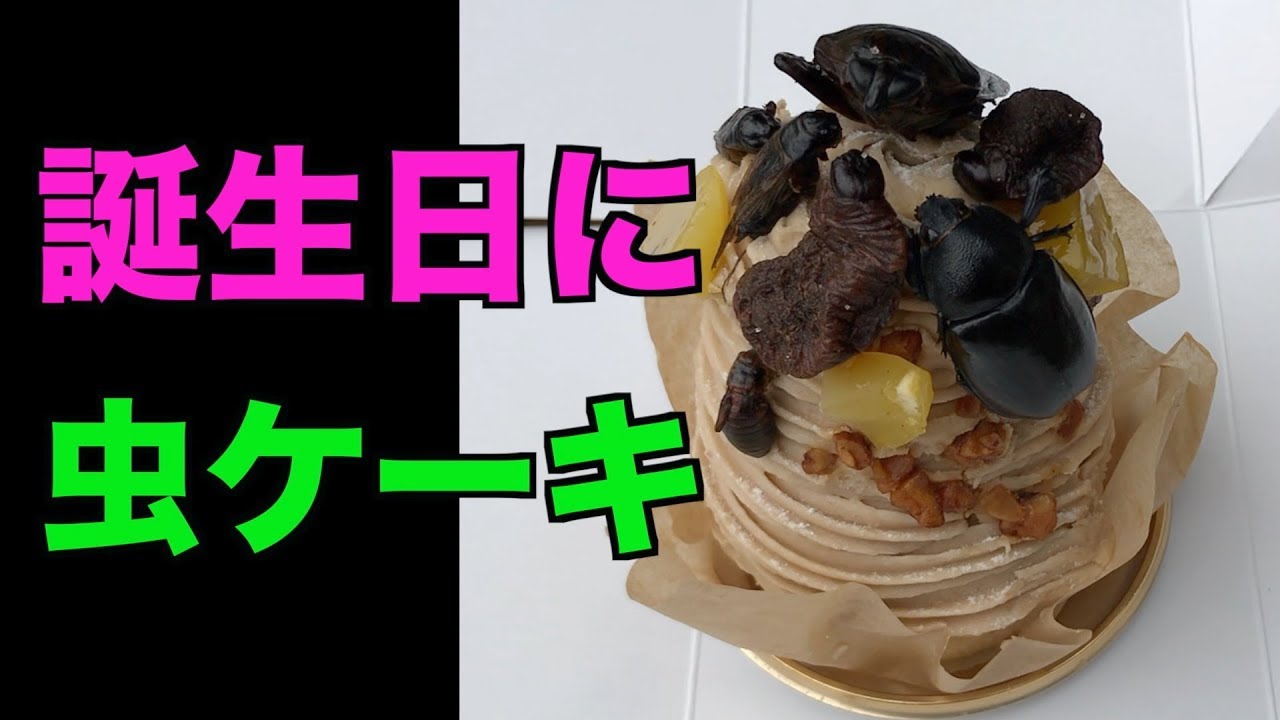 閲覧注意 昆虫食で虫ケーキ サプライズ Youtube