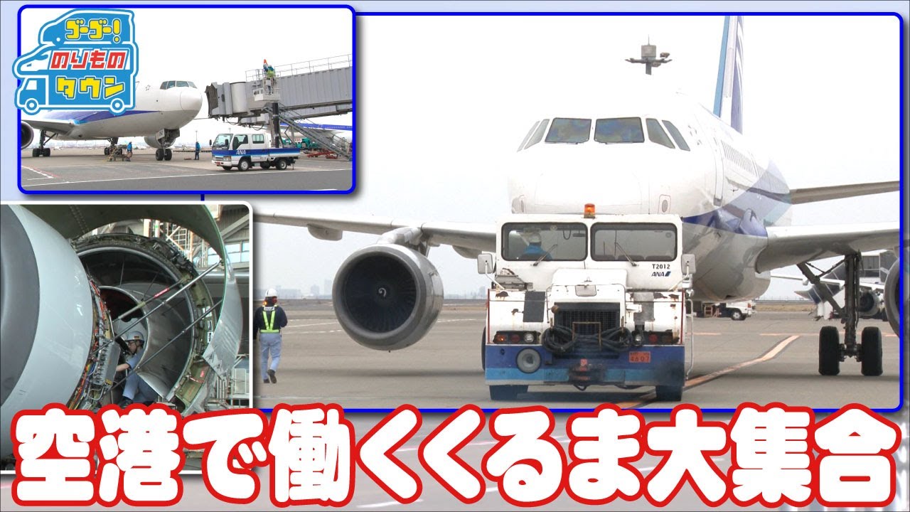 のりもの図鑑】空港ではたらくくるま（トーイングトラクター