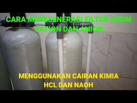 Video: Bagaimana proses regenerasinya?