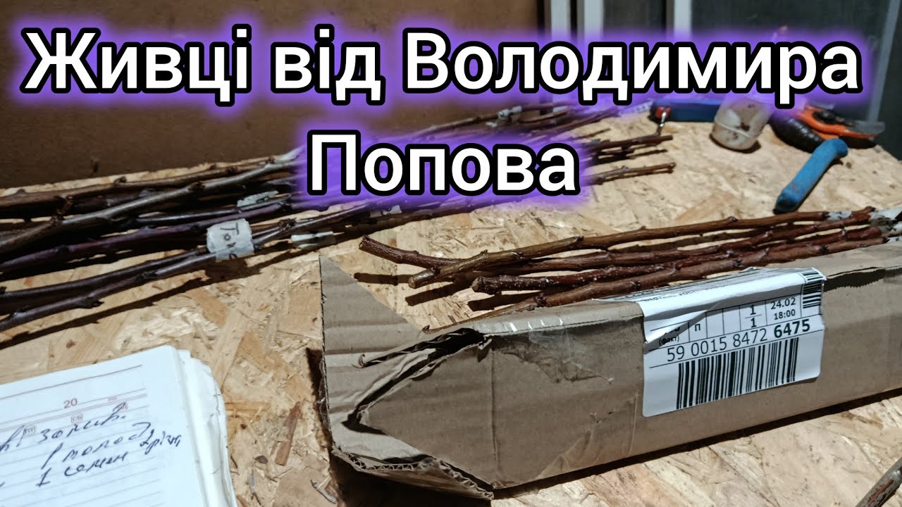 27.02.26. Живці від Володимира Попова. Поповнення асортименту.