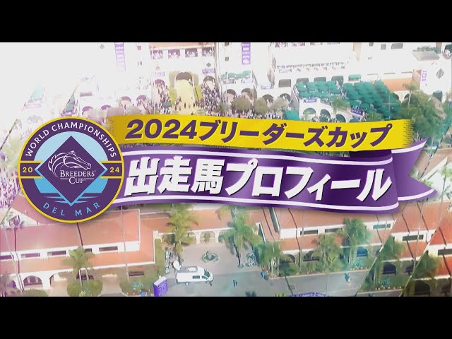 2024ブリーダーズカップ出走馬紹介 | JRA公式 - YouTube