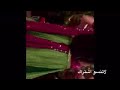 رقص بارڤاتي وليله بطلت مسلسل حبيبي دئما لايفوتك