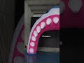 Shark arch #toys #youtube #youtubeshorts #inflation #decoration