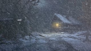 Cold Snow Storm & Blizzard Sounds for Sleeping┇Fierce Snowstorm┇Heavy Blizzard Storm at Night