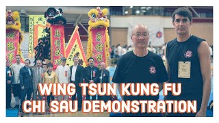 Wing Tsun Kung Fu Chi Sau Demontsration II