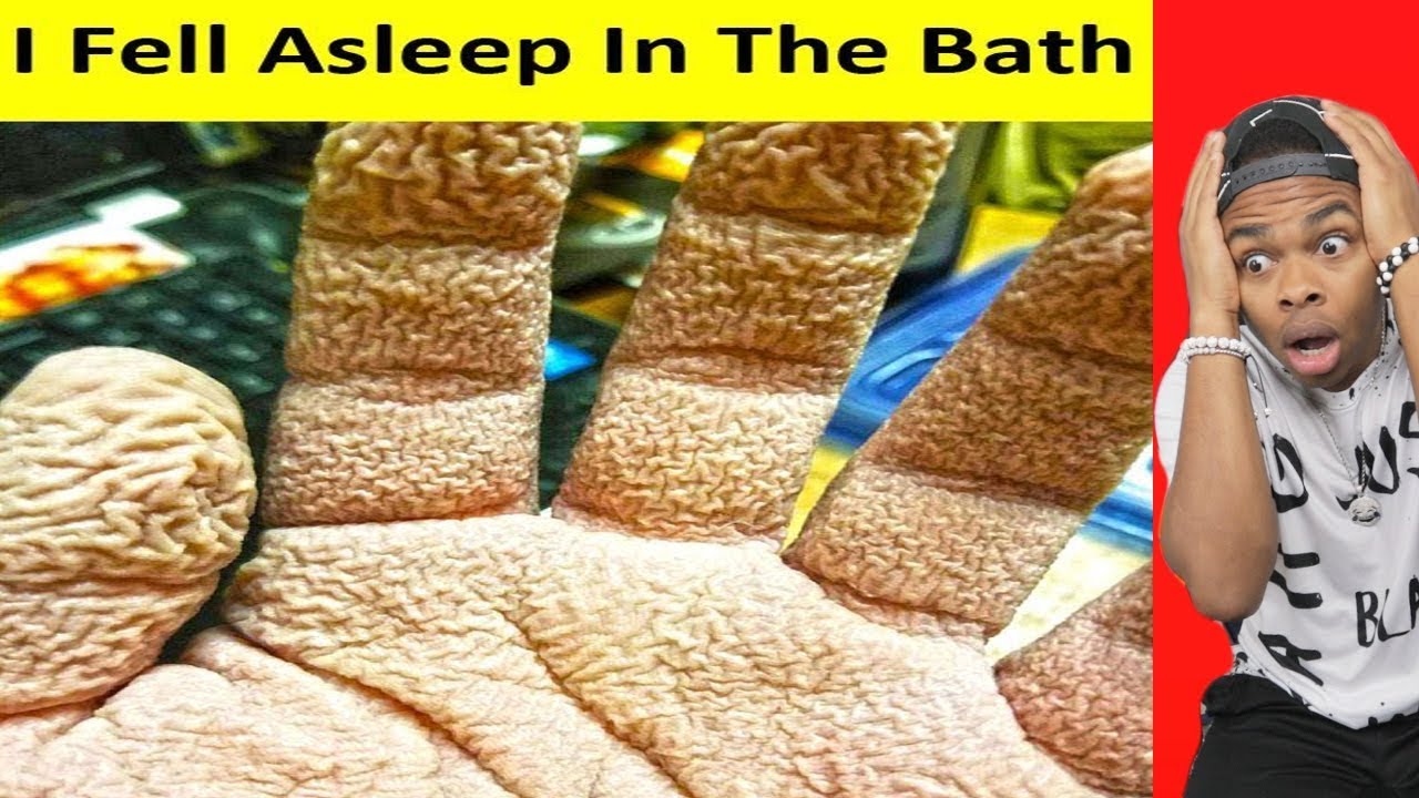 Things That Will Make You Scream "WTF!" - YouTube