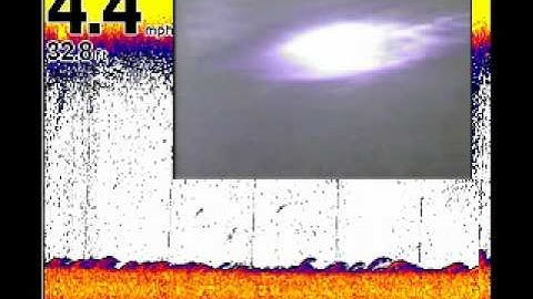 Sonar and Perch.mpg